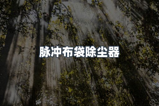 脉冲布袋除尘器